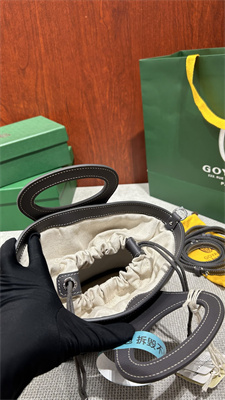 Goyard Beluga Mini Bag Goyardine Canvas & Chevroches Calfskin Grey