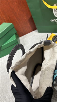 Goyard Beluga Mini Bag Goyardine Canvas & Chevroches Calfskin Grey