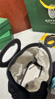 Goyard Beluga Mini Bag Goyardine Canvas & Chevroches Calfskin Grey