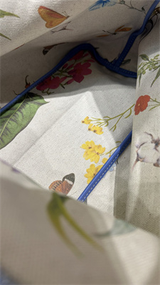 Goyard Bohème Hobo Bag Goyardine Canvas & Chevroches Calfskin Iris