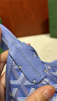 Goyard Bohème Hobo Bag Goyardine Canvas & Chevroches Calfskin Iris