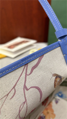 Goyard Anjou Mini Bag Chevroches Calfskin & Goyardine Canvas Iris