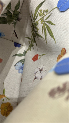 Goyard Anjou Mini Bag Chevroches Calfskin & Goyardine Canvas Iris