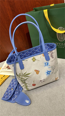 Goyard Anjou Mini Bag Chevroches Calfskin & Goyardine Canvas Iris