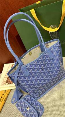 Goyard Anjou Mini Bag Chevroches Calfskin & Goyardine Canvas Iris