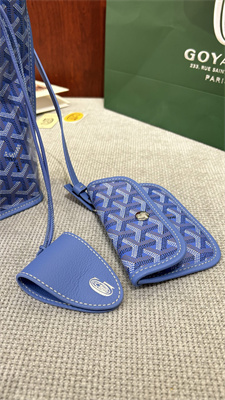 Goyard Anjou Mini Bag Chevroches Calfskin & Goyardine Canvas Iris