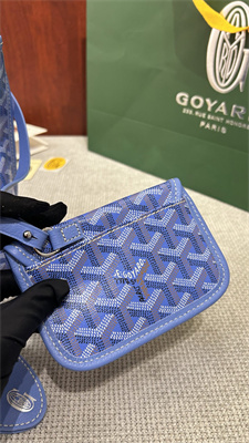Goyard Anjou Mini Bag Chevroches Calfskin & Goyardine Canvas Iris