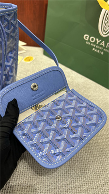 Goyard Anjou Mini Bag Chevroches Calfskin & Goyardine Canvas Iris