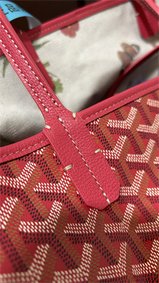 Goyard Saint Louis PM Bag In Goyardine Canvas & Chevroches Calfskin Fuchsia