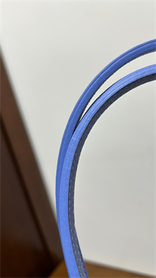 Goyard Saint Louis PM Bag In Goyardine Canvas & Chevroches Calfskin Iris