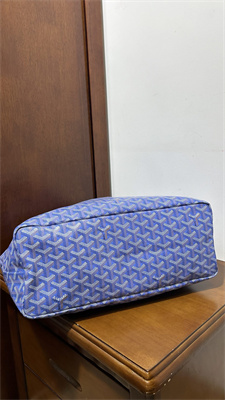 Goyard Saint Louis PM Bag In Goyardine Canvas & Chevroches Calfskin Iris