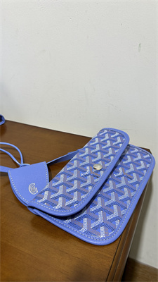 Goyard Saint Louis GM Bag In Goyardine Canvas & Chevroches Calfskin Iris