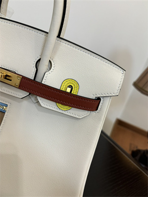 Birkin Colormatic Bag Swift Leather 25/30 Gold/Silver Hardware In Nata/Chai/Cuivre/Lime/Mauve Sylvester Color HS