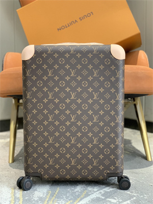 L.V Suitcase luggage Monogram Canvas & Calfskin