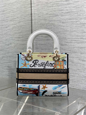 CD Medium Lady D-Lite Bag  Embroidery White