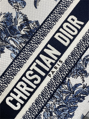 CD Medium Lady D-Lite Bag  Embroidery White