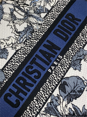 CD Medium Lady D-Lite Bag  Embroidery White&Blue
