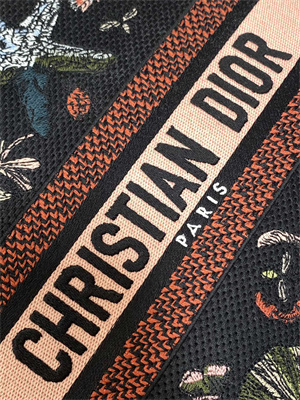 CD Medium Lady D-Lite Bag  Embroidery Black