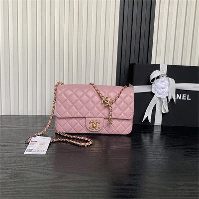 Chanel Small Flap Bag Lambskin Gold Tone Metal Pink AS5756