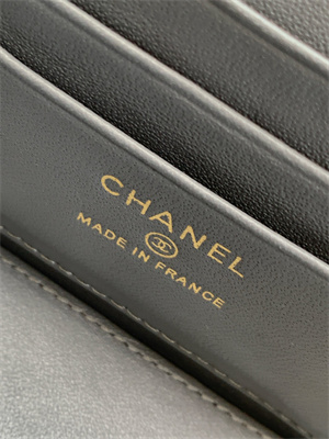 Chanel Vanity with chain Grained Calfskin& Gold-Tone Metal Grey AP4799