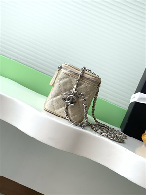 Chanel Vanity Case Grained Calfskin& Silver-Tone Metal Gold AP3940