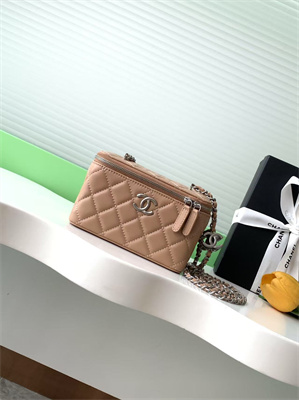Chanel Vanity Case Lambskin & Silver-Tone Metal Brown AP3940