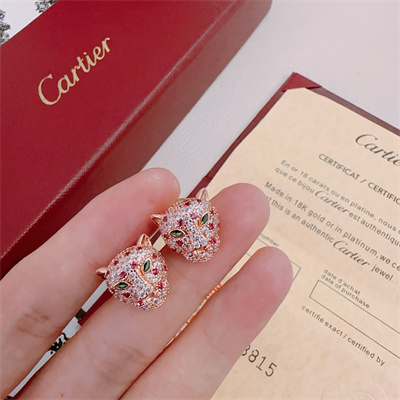 Cartier Earrings 38861