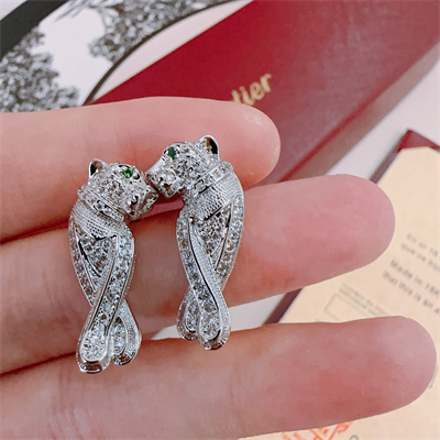 Cartier Earrings 38863