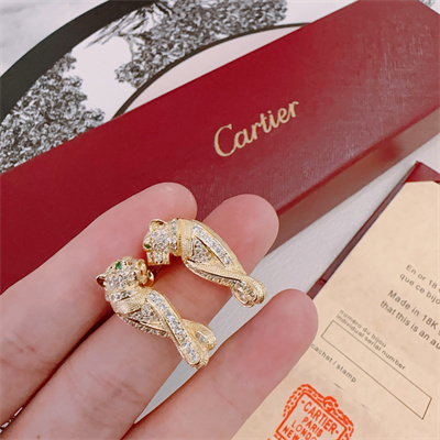 Cartier Earrings 38864