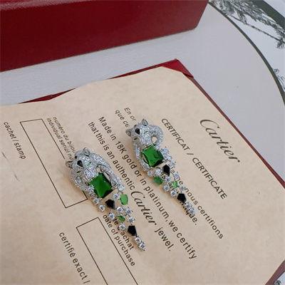 Cartier Earrings 38871
