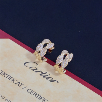 Cartier Earrings 38872