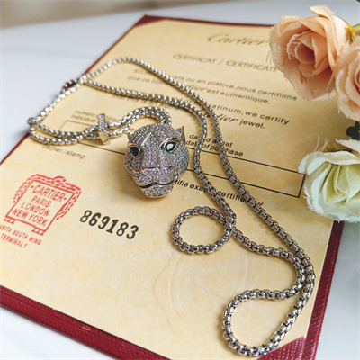 Cartier Necklace 38873