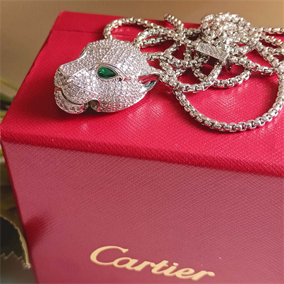 Cartier Necklace 38873