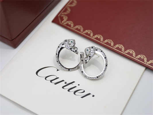 Cartier Earrings 38874