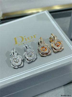 Dior Earrings 38981