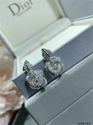 Dior Earrings 38981