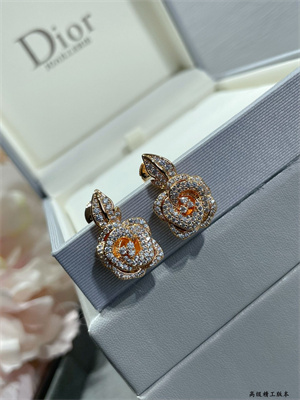 Dior Earrings 38981