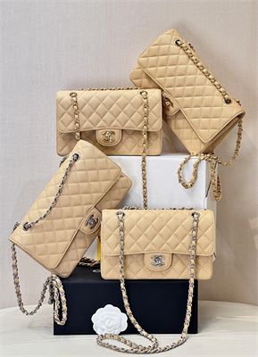 Chanel Small Classic Flap Bag Grained Calfskin Silver Tone Metal Beige 01117 TOP