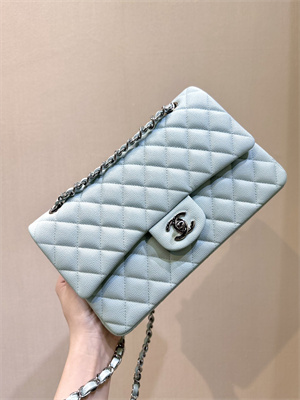 Chanel Medium Classic Flap Bag Grained Calfskin Silver Tone Metal Mint 01112 TOP