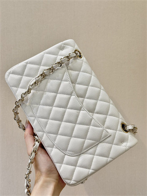 Chanel Small Classic Flap Bag Grained Calfskin Gold Tone Metal White 01117 TOP