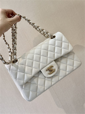 Chanel Small Classic Flap Bag Grained Calfskin Gold Tone Metal White 01117 TOP