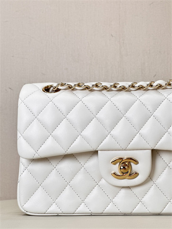 Chanel Small Classic Flap Bag Lambskin Gold Tone Metal White 01117 TOP