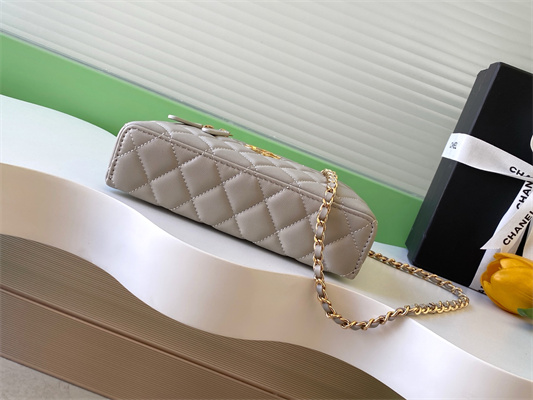 Chanel Vanity With Chain Shinny Lambskin , Strass & Gold-Tone Metal Light Grey AP4804