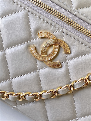 Chanel Vanity With Chain Shinny Lambskin , Strass & Gold-Tone Metal Light Grey AP4804