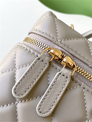 Chanel Vanity With Chain Shinny Lambskin , Strass & Gold-Tone Metal Light Grey AP4804