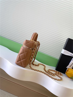 Chanel Vanity With Chain Shinny Lambskin , Strass & Gold-Tone Metal Brown AP4804