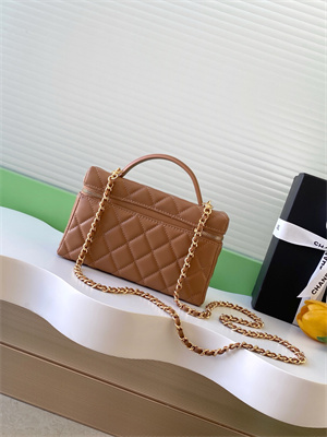 Chanel Vanity With Chain Shinny Lambskin , Strass & Gold-Tone Metal Brown AP4804