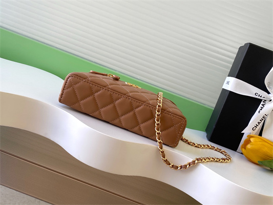 Chanel Vanity With Chain Shinny Lambskin , Strass & Gold-Tone Metal Brown AP4804