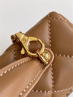 Chanel Vanity With Chain Shinny Lambskin , Strass & Gold-Tone Metal Brown AP4804