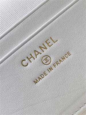 Chanel Vanity With Chain Shinny Lambskin , Strass & Gold-Tone Metal White AP4804